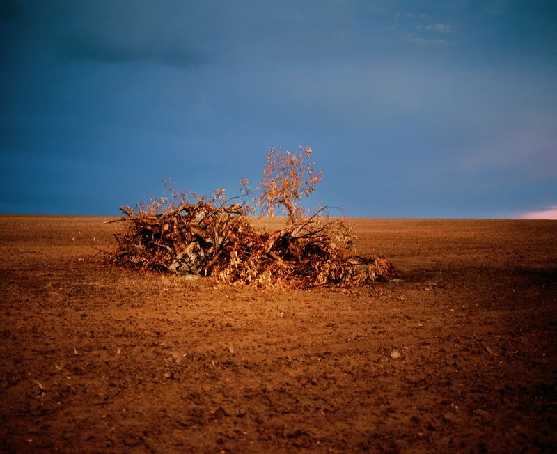 © Aletheia Casey - Image from the The Dark Forgetting photography project