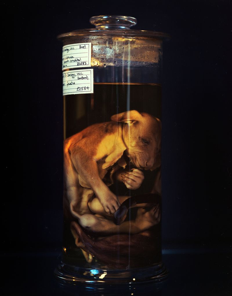 © Aletheia Casey - Image from the A Lost Place photography project