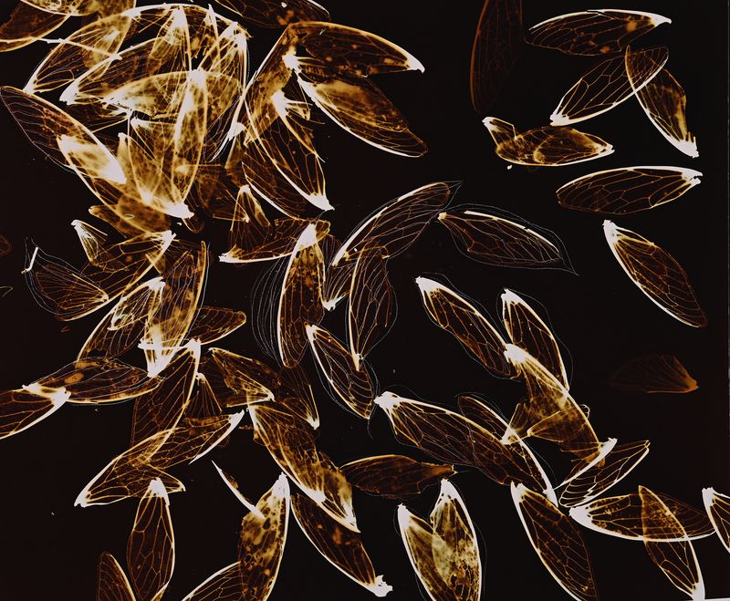 © Aletheia Casey - Image from the A Lost Place photography project