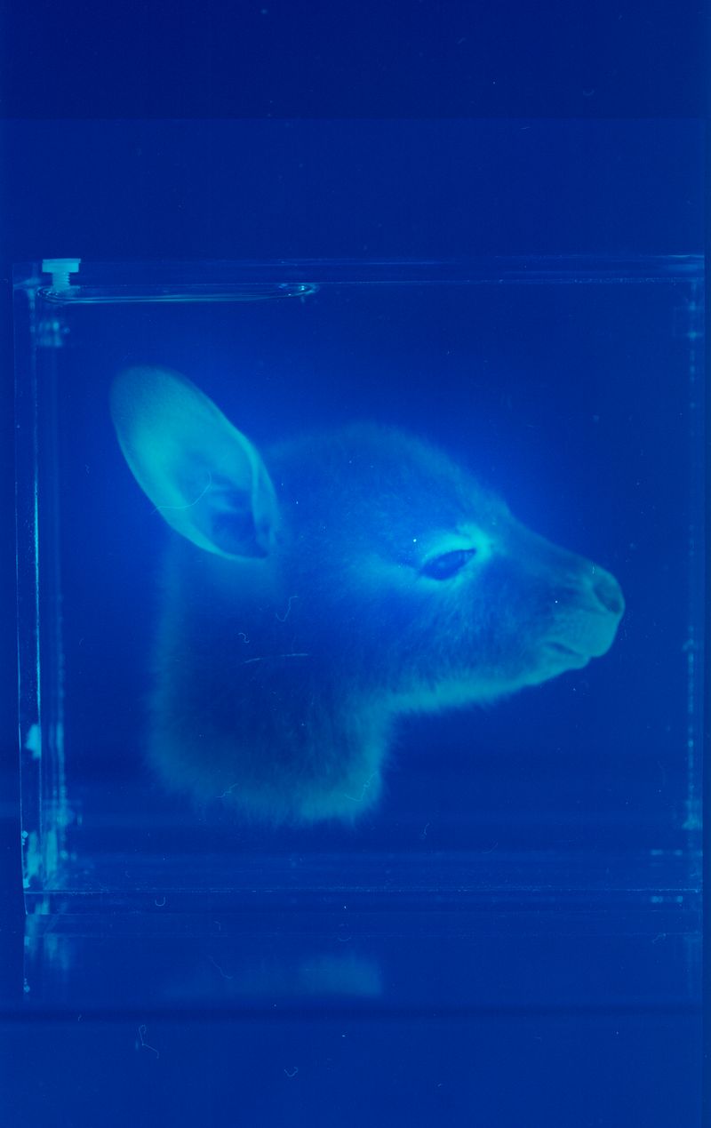 © Aletheia Casey - Image from the A Lost Place photography project