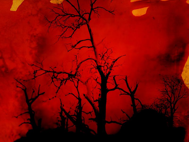 © Aletheia Casey - Image from the A Lost Place photography project