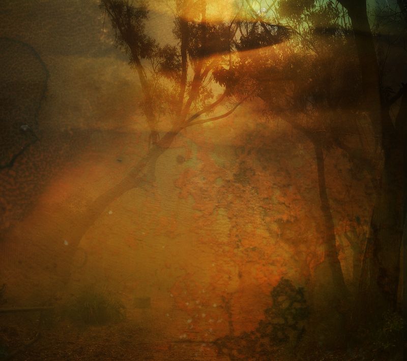 © Aletheia Casey - Image from the A Lost Place photography project