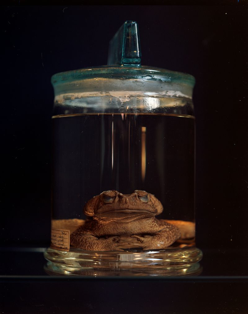 © Aletheia Casey - Image from the A Lost Place photography project