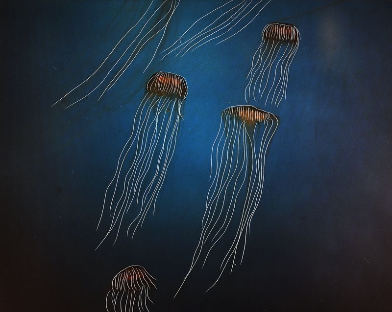 © Aletheia Casey - Image from the A Lost Place photography project