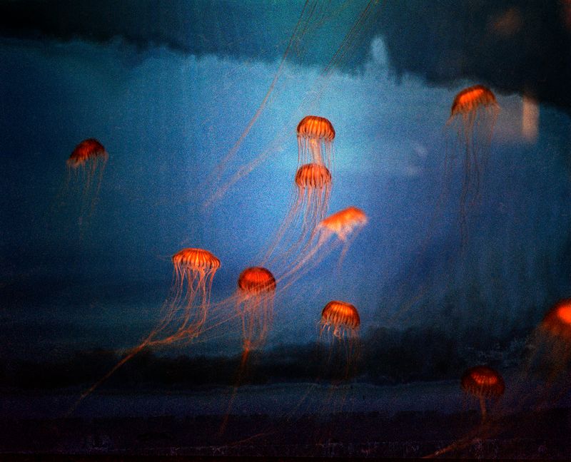 © Aletheia Casey - Image from the A Lost Place photography project