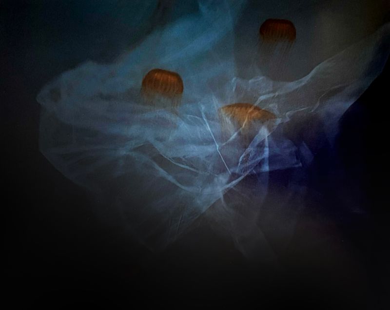 © Aletheia Casey - Image from the A Lost Place photography project