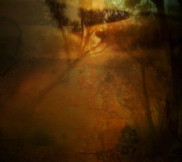 © Aletheia Casey - Image from the A Lost Place photography project