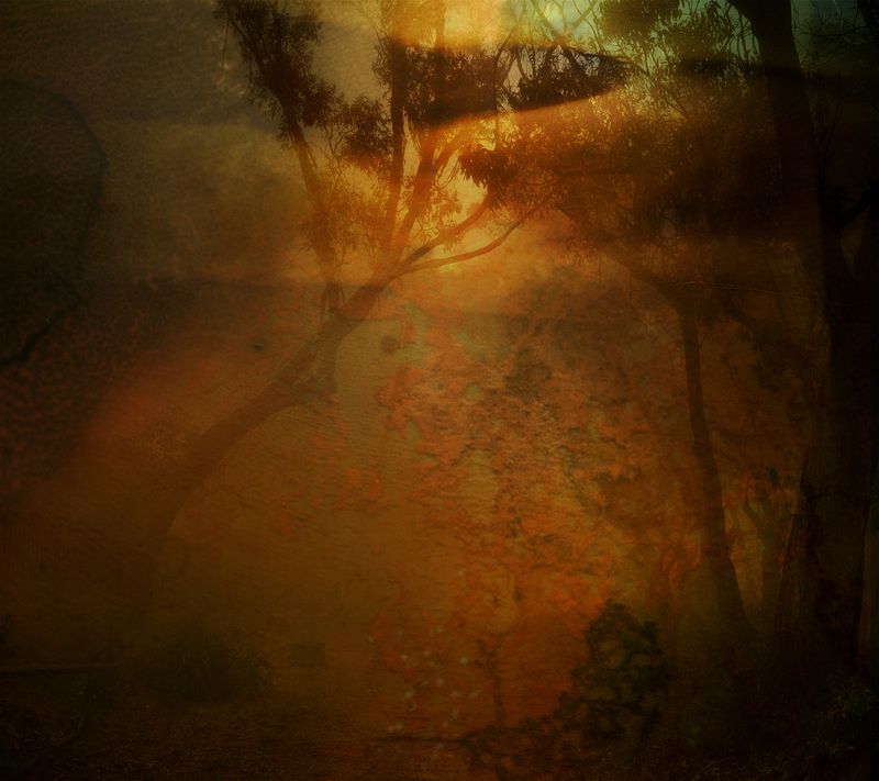 © Aletheia Casey - Image from the A Lost Place photography project
