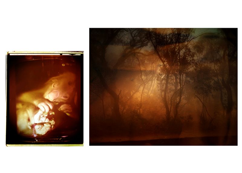 © Aletheia Casey - Image from the A Lost Place photography project