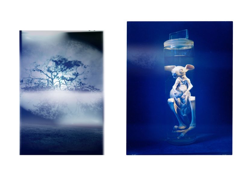 © Aletheia Casey - Image from the A Lost Place photography project