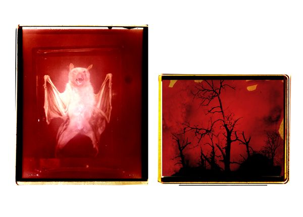 © Aletheia Casey - Image from the A Lost Place photography project