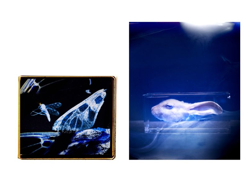 © Aletheia Casey - Image from the A Lost Place photography project