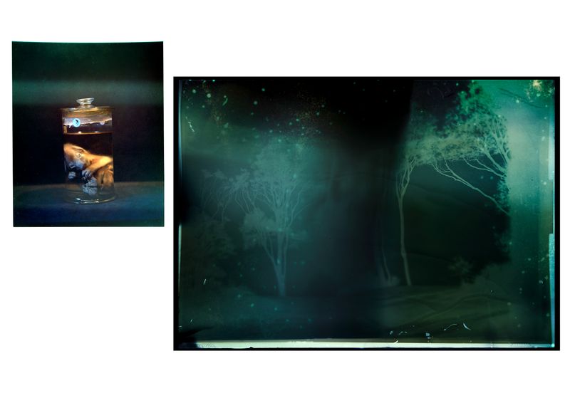 © Aletheia Casey - Image from the A Lost Place photography project