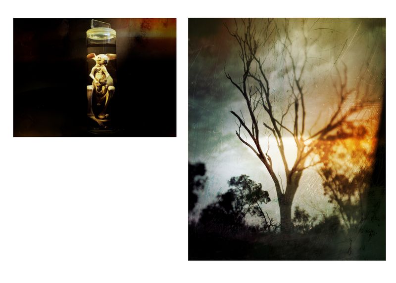 © Aletheia Casey - Image from the A Lost Place photography project