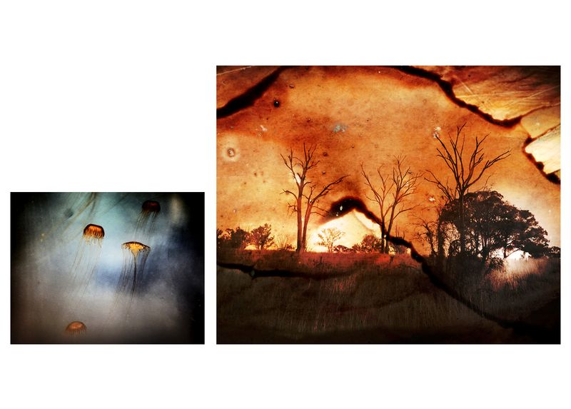 © Aletheia Casey - Image on left: Jellyfish, Horniman Museum, London. Image on right: Reimagined landscape, Wagga Wagga (Wiradjuri land).
