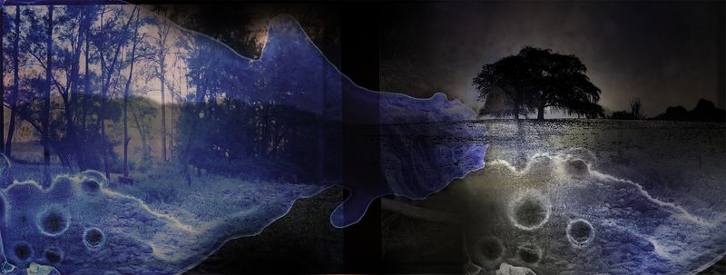 © Aletheia Casey - Image from the To dance with shadows photography project