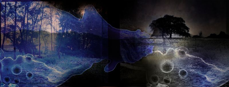 © Aletheia Casey - Image from the To dance with shadows photography project