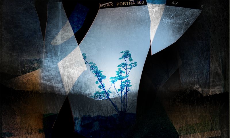 © Aletheia Casey - Image from the To dance with shadows photography project