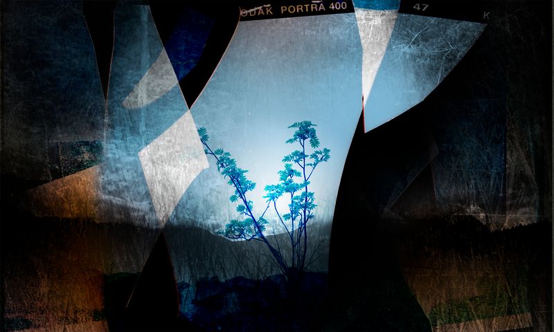 © Aletheia Casey - Image from the To dance with shadows photography project