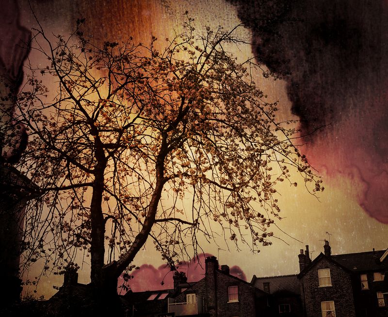 © Aletheia Casey - Image from the To dance with shadows photography project