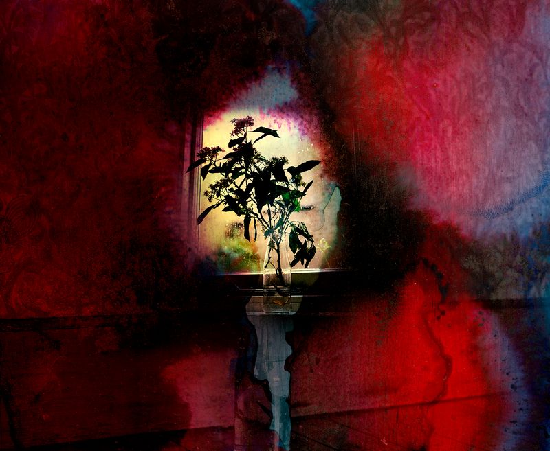 © Aletheia Casey - Image from the To dance with shadows photography project