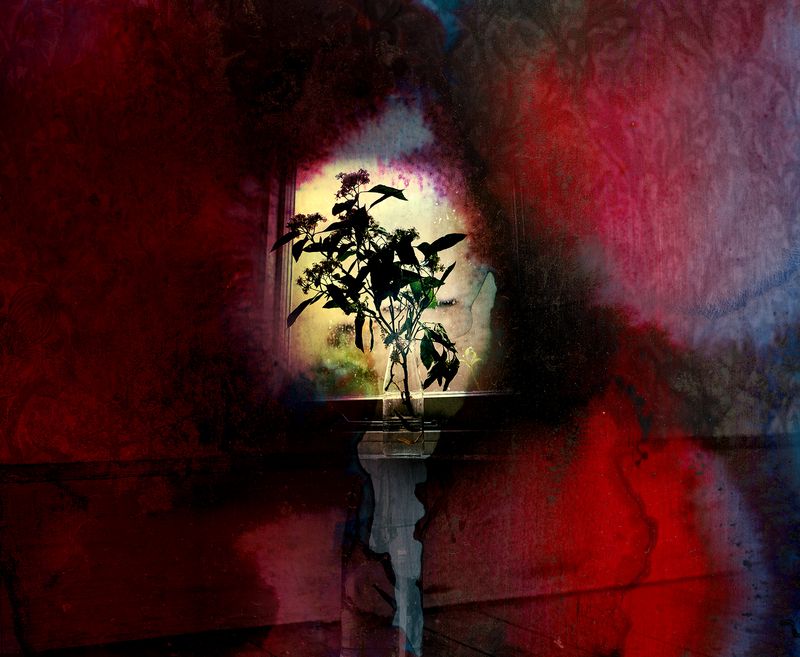 © Aletheia Casey - Image from the To dance with shadows photography project