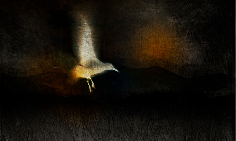 © Aletheia Casey - Image from the To dance with shadows photography project