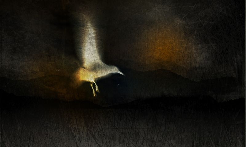 © Aletheia Casey - Image from the To dance with shadows photography project