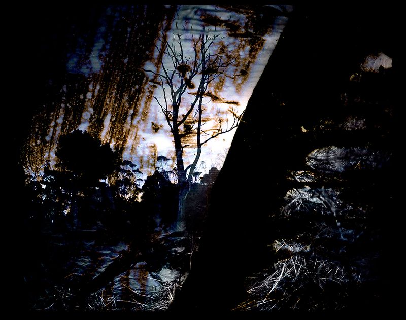 © Aletheia Casey - Image from the No Blood Stained the Wattle photography project