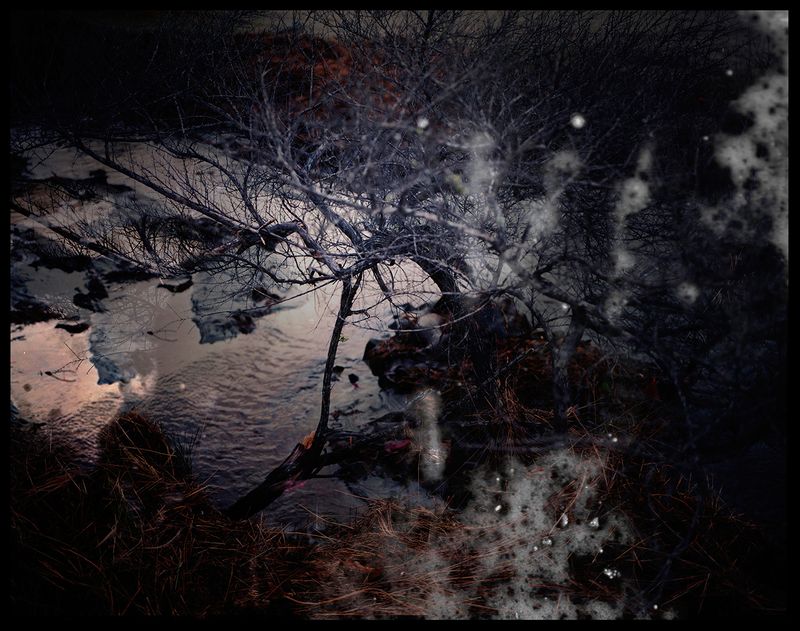 © Aletheia Casey - Image from the No Blood Stained the Wattle photography project