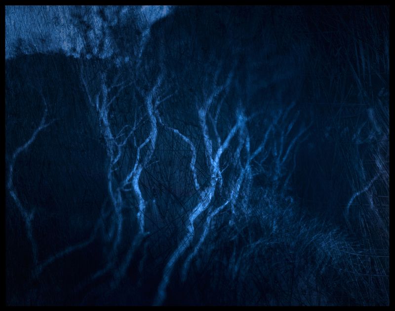 © Aletheia Casey - Image from the No Blood Stained the Wattle photography project