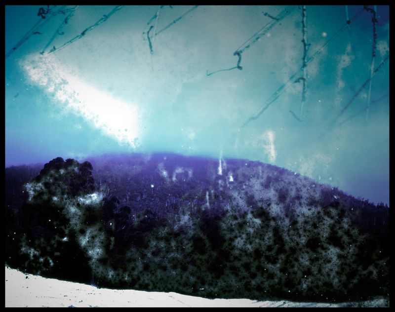 © Aletheia Casey - Image from the No Blood Stained the Wattle photography project