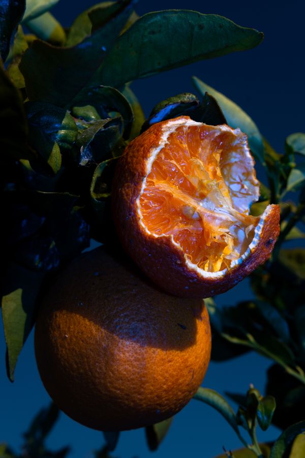 © William Joe Josephs Radford - Image from the Character Building (Part 2) photography project