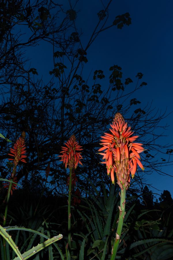 © William Joe Josephs Radford - Image from the Character Building (Part 2) photography project