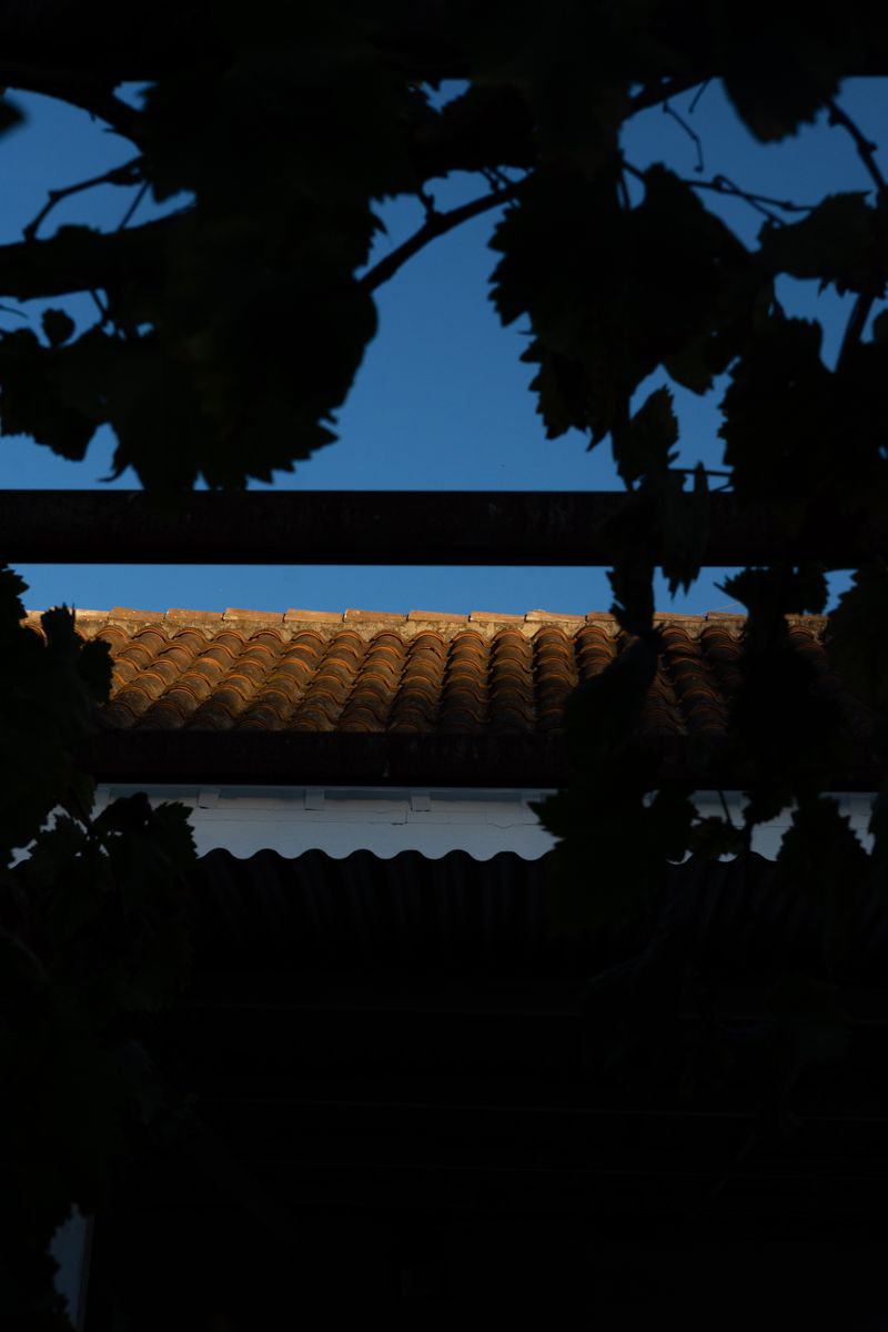 © William Joe Josephs Radford - Image from the Character Building (Part 2) photography project