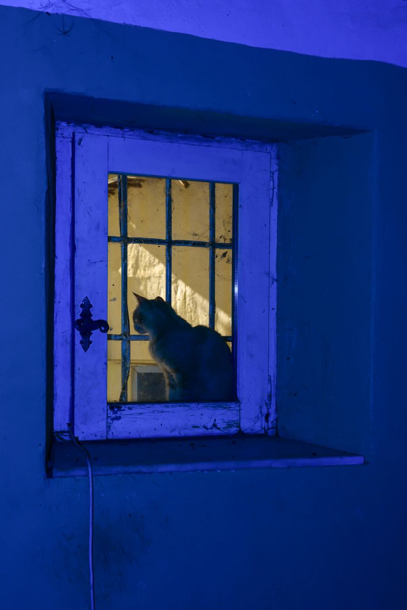 © William Joe Josephs Radford - Image from the Character Building (Part 2) photography project