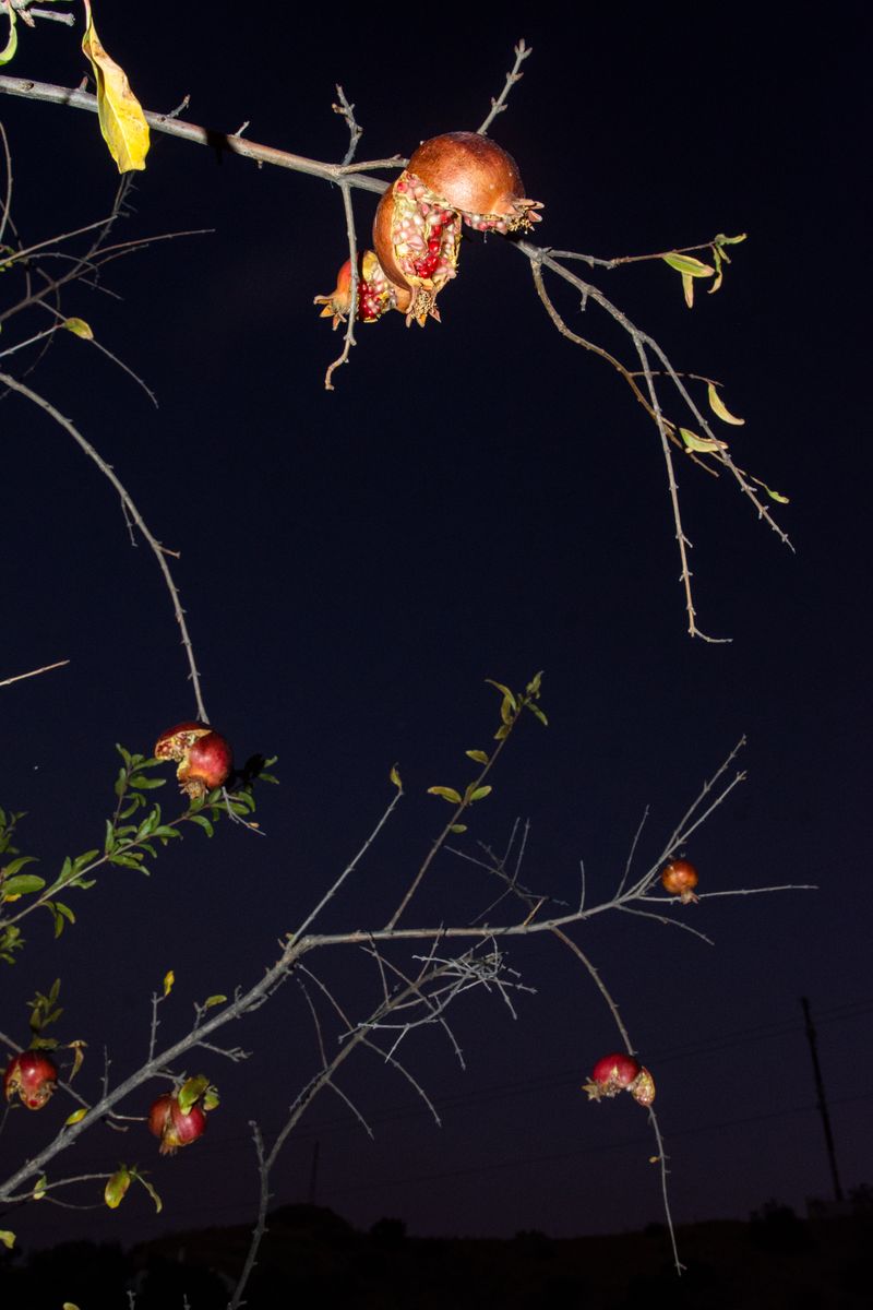 © William Joe Josephs Radford - Image from the Character Building (Part 2) photography project