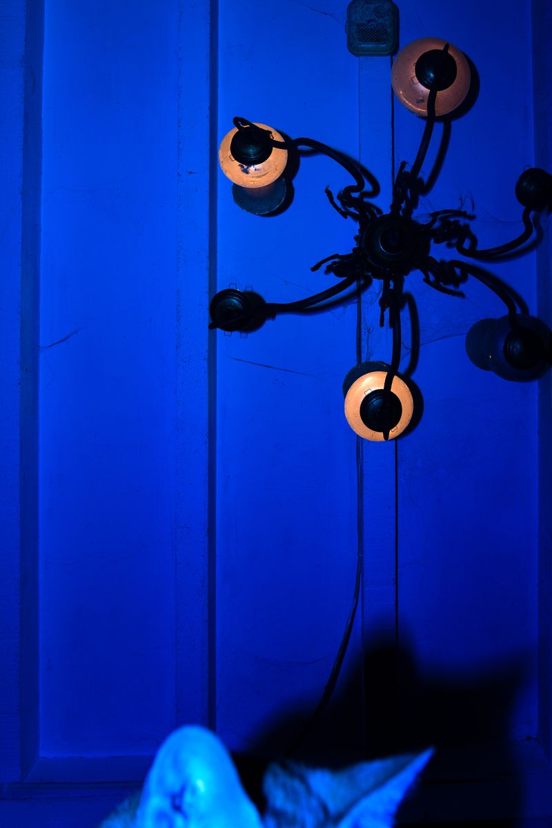 © William Joe Josephs Radford - Image from the Character Building (Part 2) photography project
