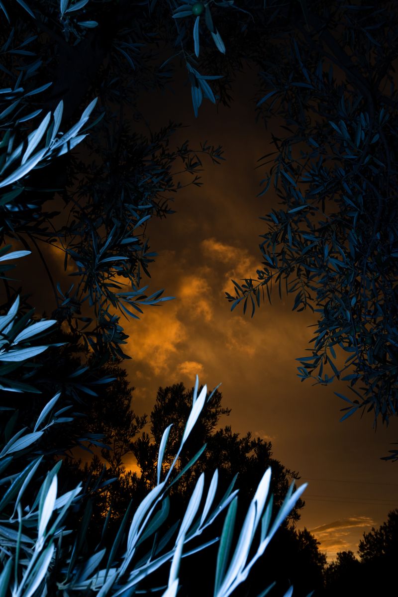 © William Joe Josephs Radford - Image from the Character Building (Part 2) photography project