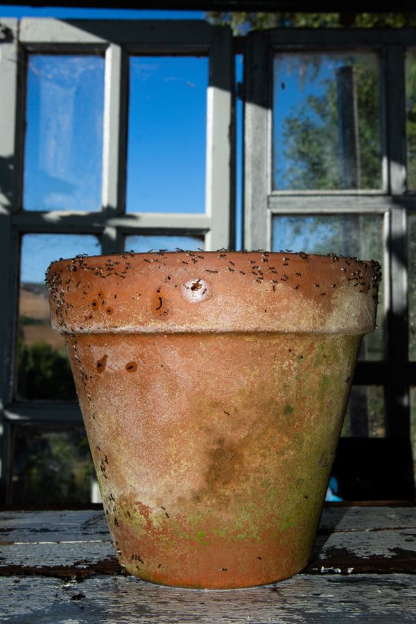 © William Joe Josephs Radford - Image from the Character Building (Part 2) photography project