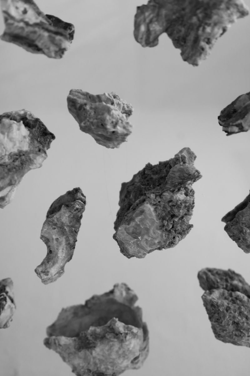 © William Joe Josephs Radford - Image from the Gradient Loss photography project