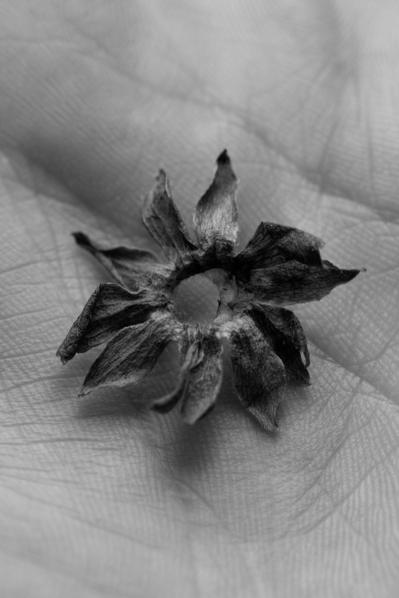 © William Joe Josephs Radford - Image from the Gradient Loss photography project