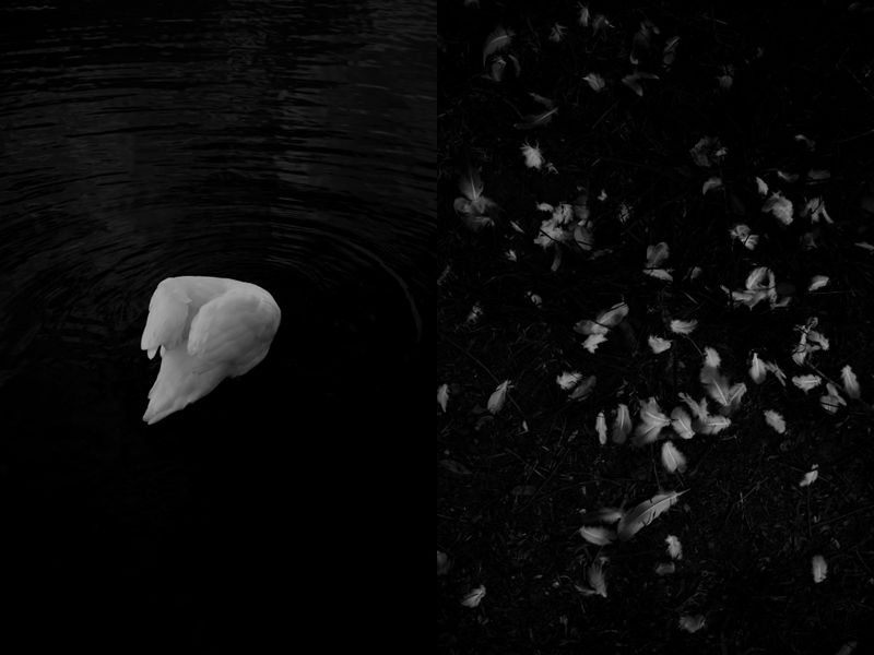 © William Joe Josephs Radford - Image from the Gradient Loss photography project