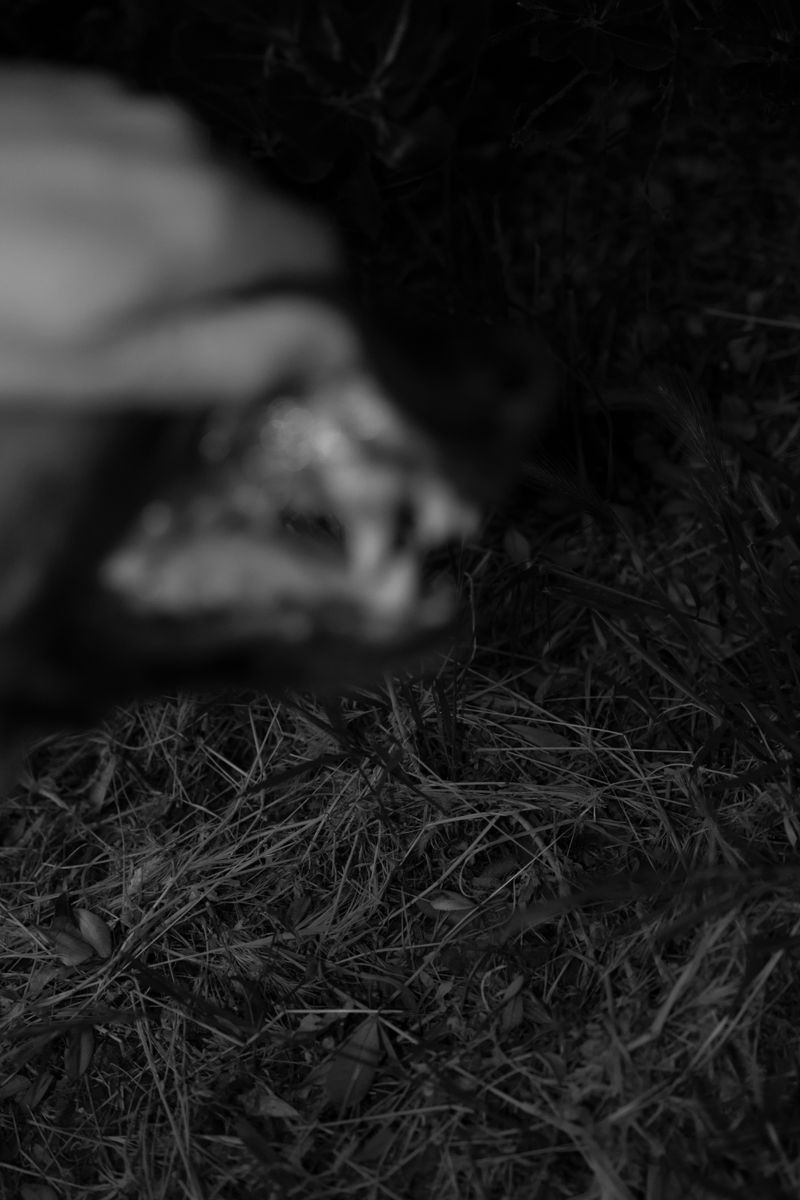 © William Joe Josephs Radford - Image from the Gradient Loss photography project