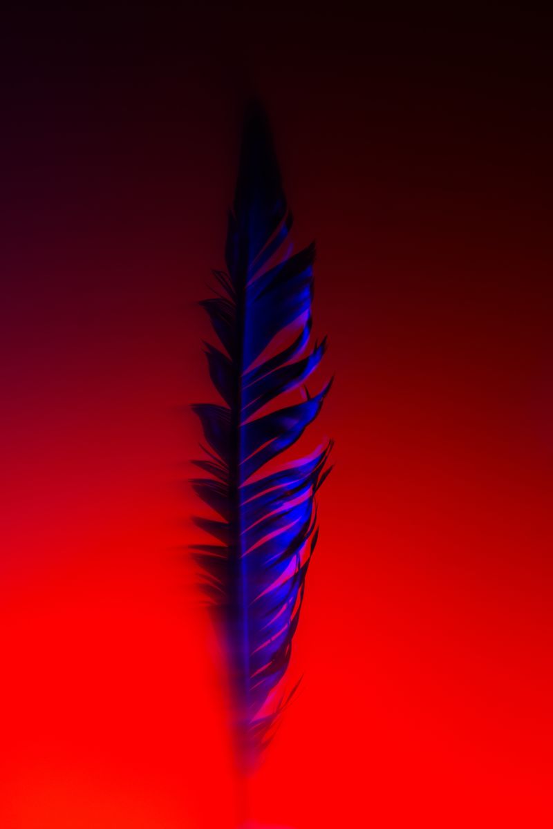 © William Joe Josephs Radford - Image from the White Knight photography project