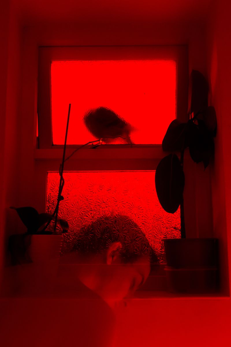 © William Joe Josephs Radford - Image from the White Knight photography project