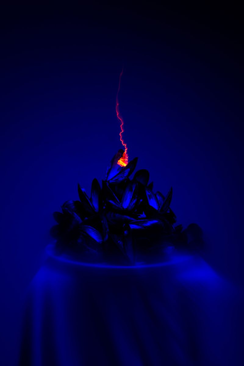 © William Joe Josephs Radford - Image from the White Knight photography project