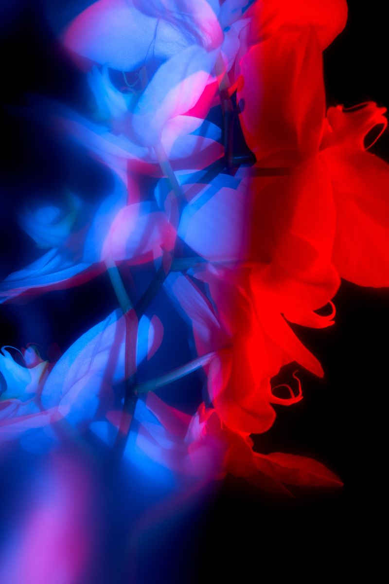 © William Joe Josephs Radford - Image from the White Knight photography project