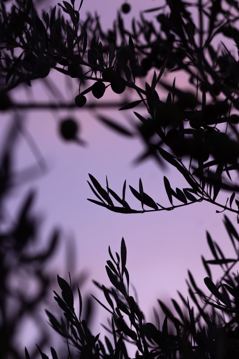© William Joe Josephs Radford - Image from the Character Building (Part 3) photography project