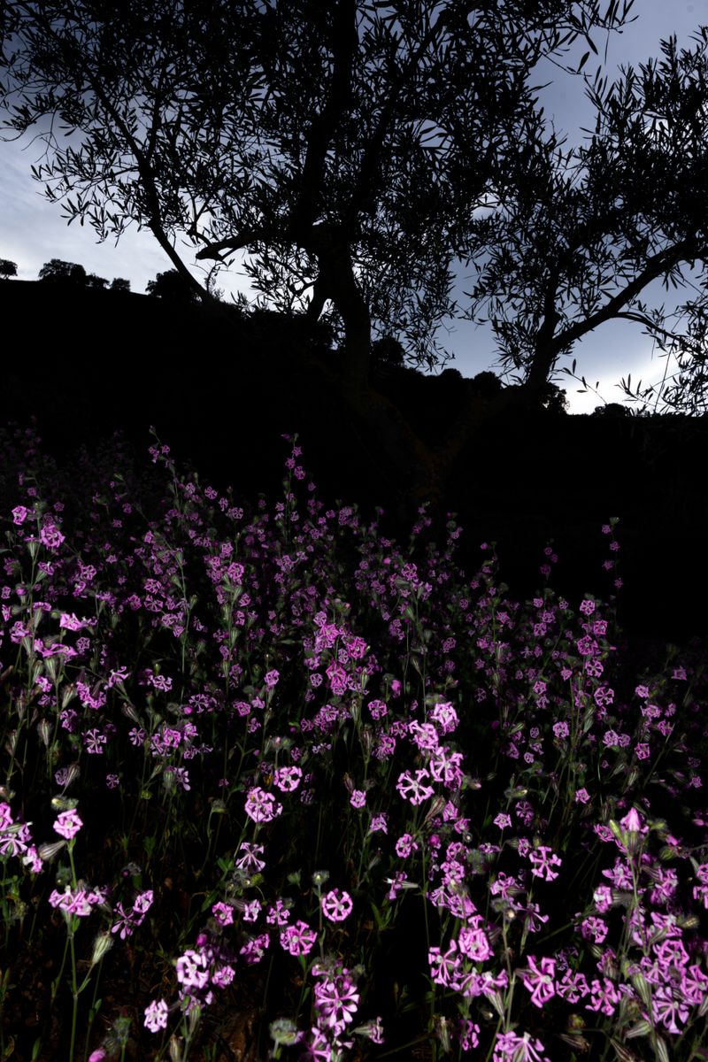 © William Joe Josephs Radford - Image from the Character Building (Part 3) photography project